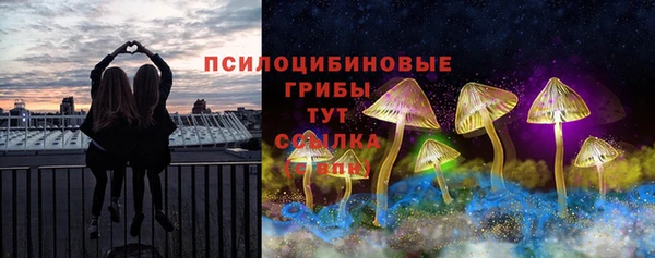 ПСИЛОЦИБИНОВЫЕ ГРИБЫ Алзамай