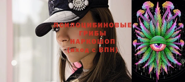крисы Алексин
