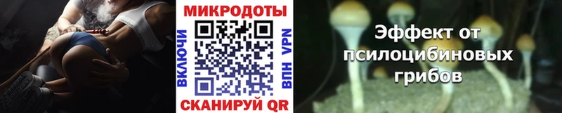 Галлюциногенные грибы Psilocybine cubensis  купить   Архангельск 